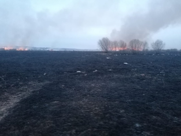 В Хоринском районе поджигатели сухой растительности будут привлечены к административной ответственности 