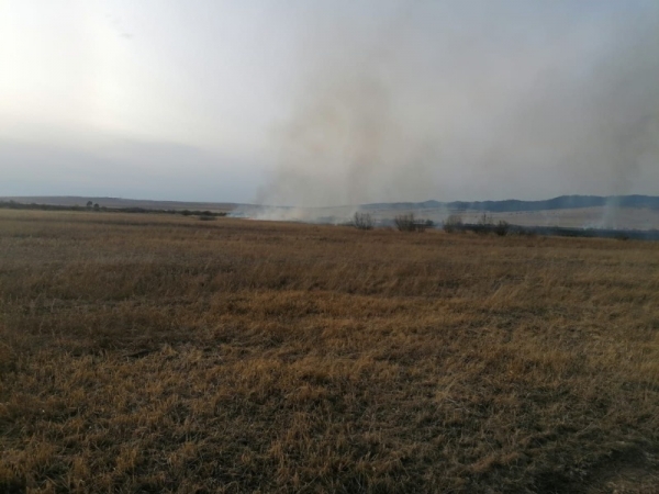 В Хоринском районе поджигатели сухой растительности будут привлечены к административной ответственности 