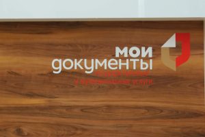 Жители Бурятии могут оплачивать услуги на портале МФЦ без комиссии